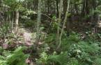 Terre/Terrain