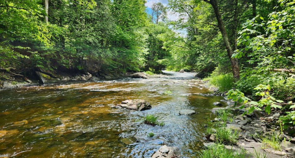Accès au plan d'eau