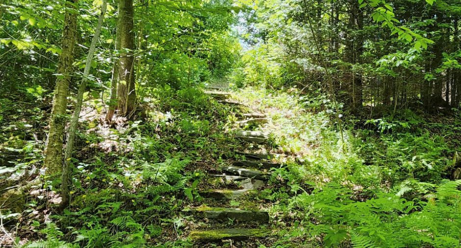 Accès au plan d'eau