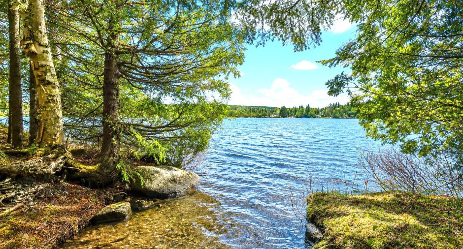 Vue sur l'eau