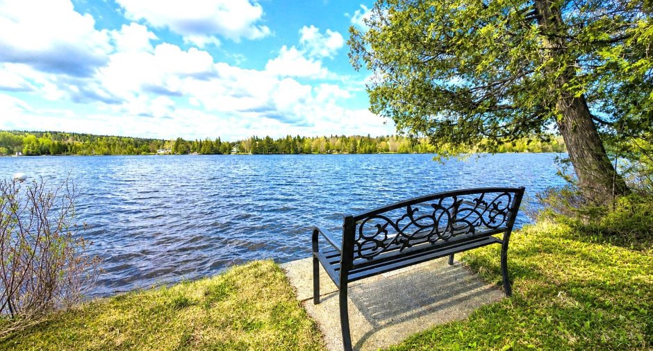 Vue sur l'eau