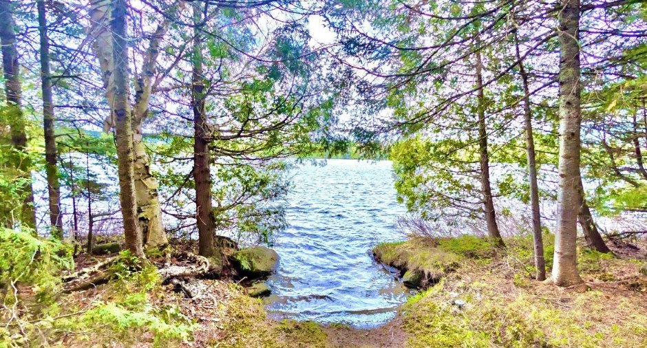 Vue sur l'eau