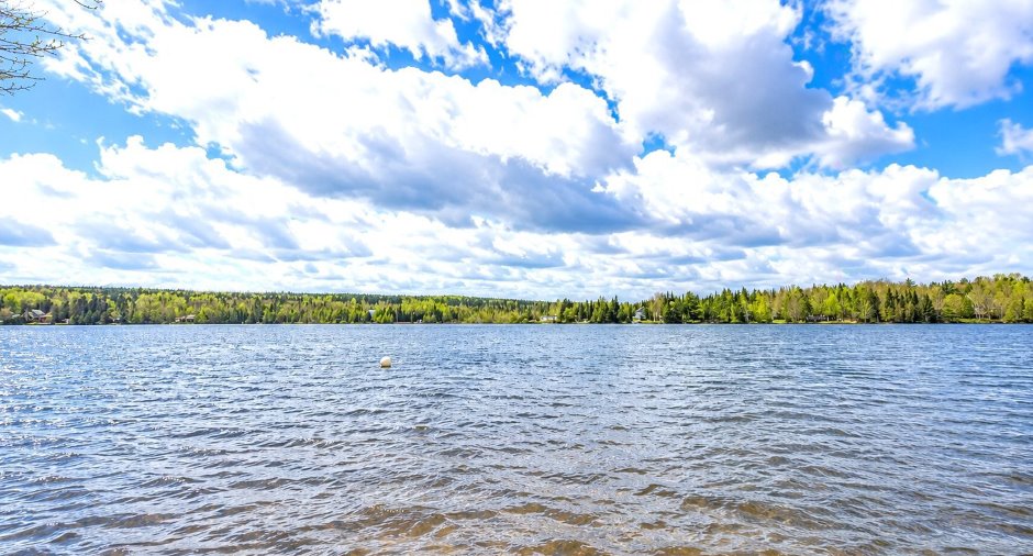 Vue sur l'eau