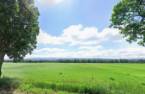 Land/Lot