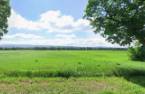 Land/Lot