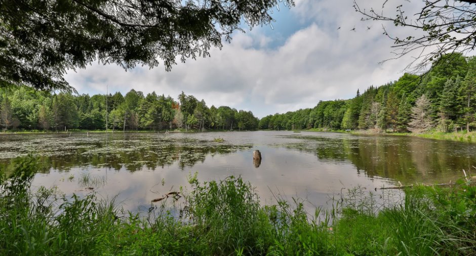Accès au plan d'eau
