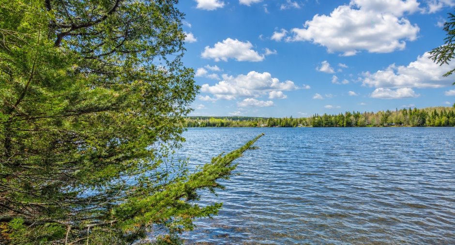 Vue sur l'eau