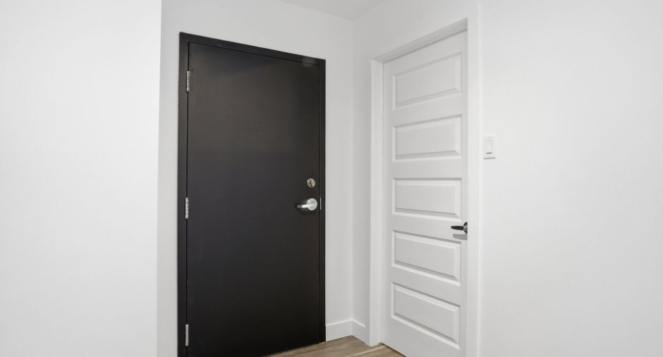 Hall d’entrée/Vestibule