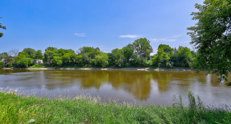 Bord de l'eau