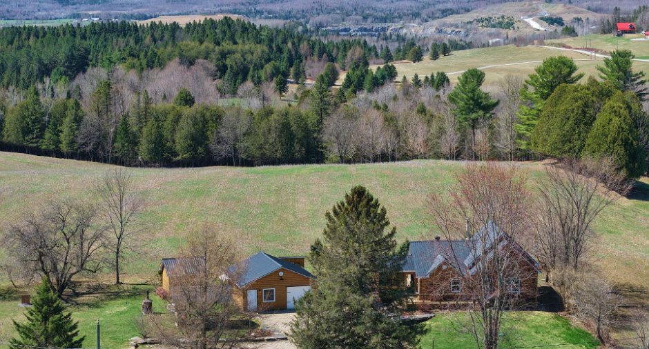 Overall View