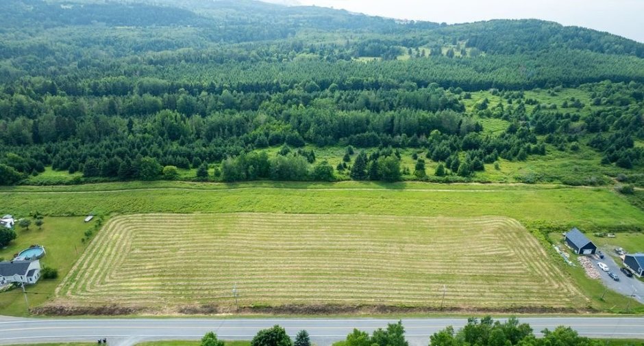 Terre/Terrain