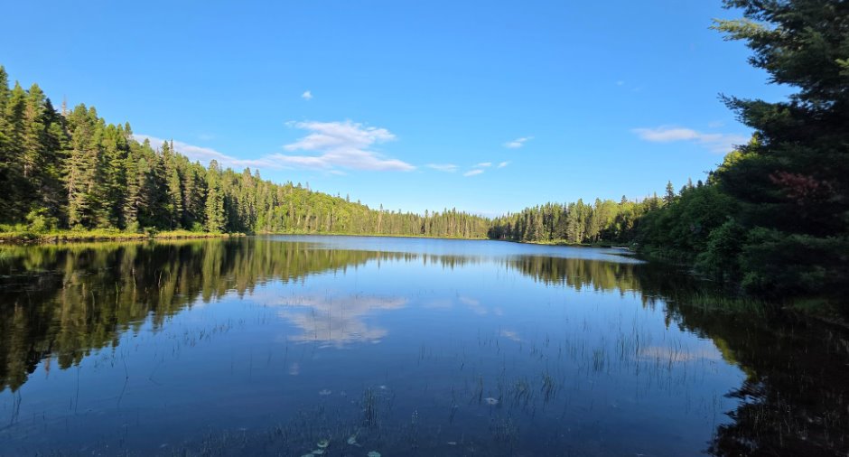 Water view