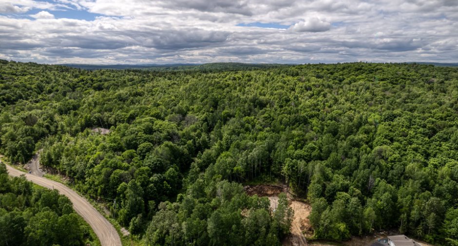 Aerial photo