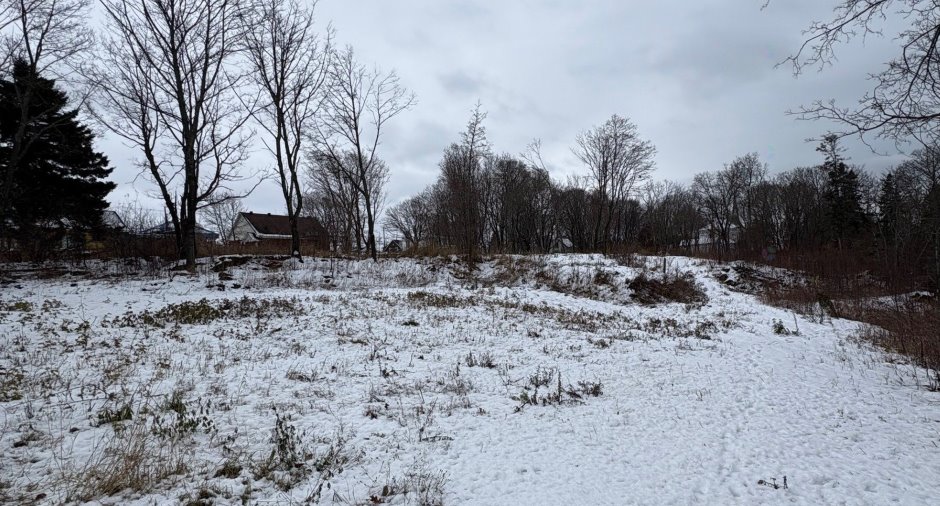 Terre/Terrain