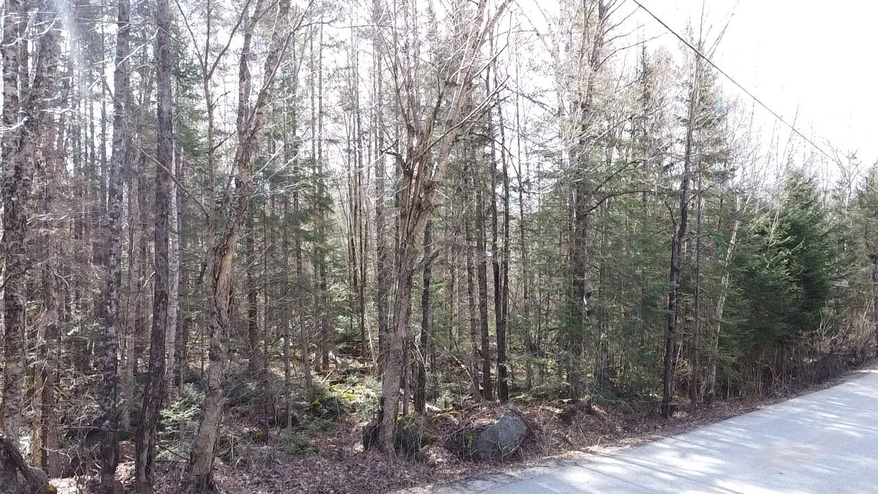 Ch. H.-Bondu — photo 2