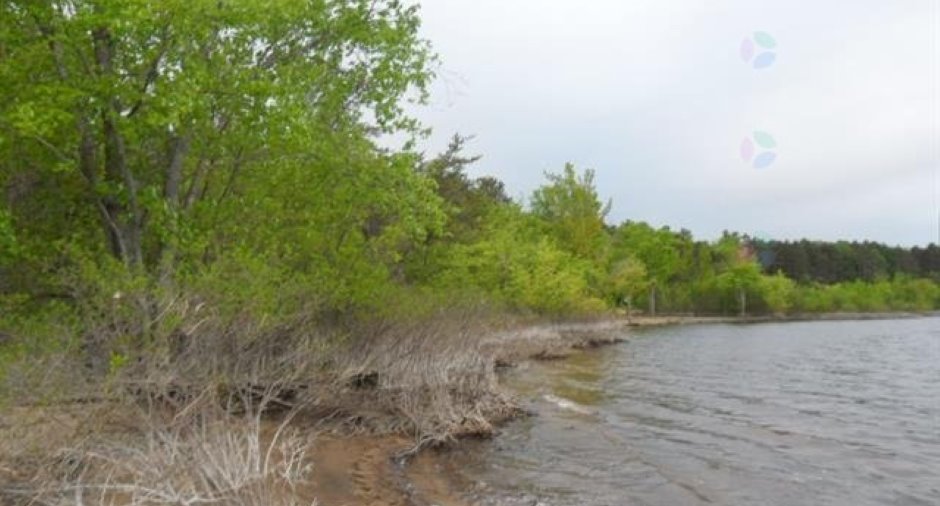 Bord de l'eau