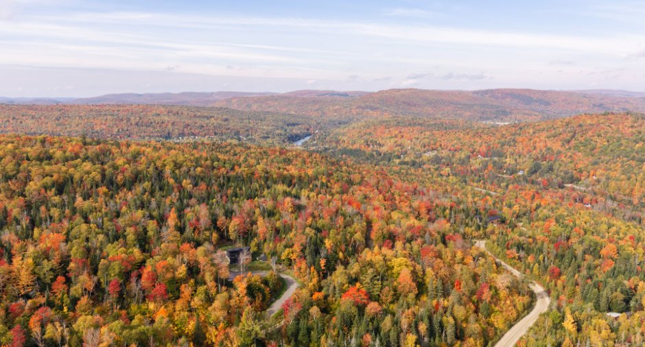 Aerial photo