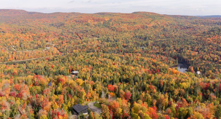 Aerial photo