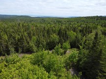 Terrain à vendre à La Malbaie — 1Z, Rang Saint-Joseph (photo 30)