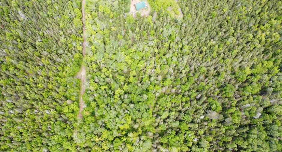 Aerial photo