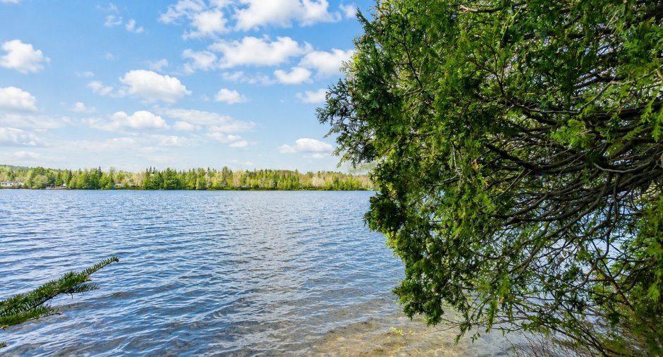 Bord de l'eau