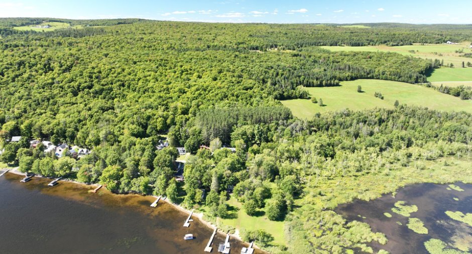 Vue sur l'eau