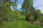 Terre/Terrain