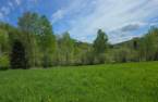 Terre/Terrain