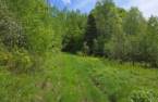 Terre/Terrain