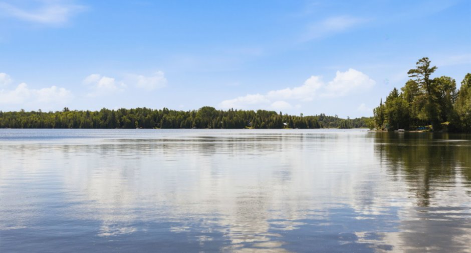 Bord de l'eau