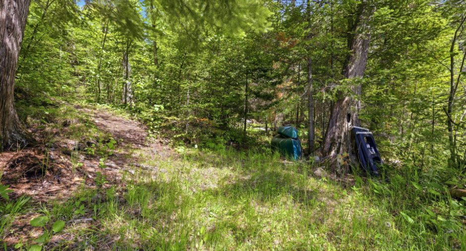 Terre/Terrain