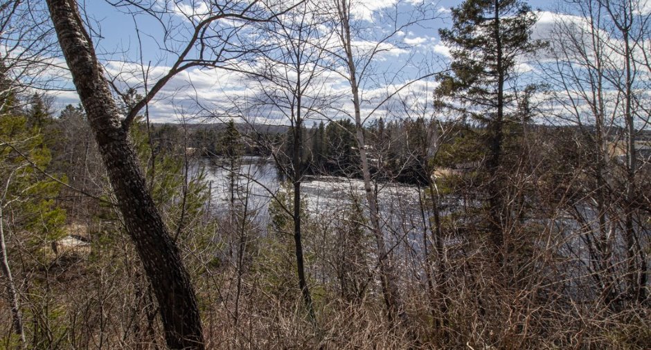 Vue sur l'eau