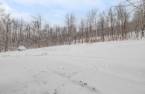 Terre/Terrain