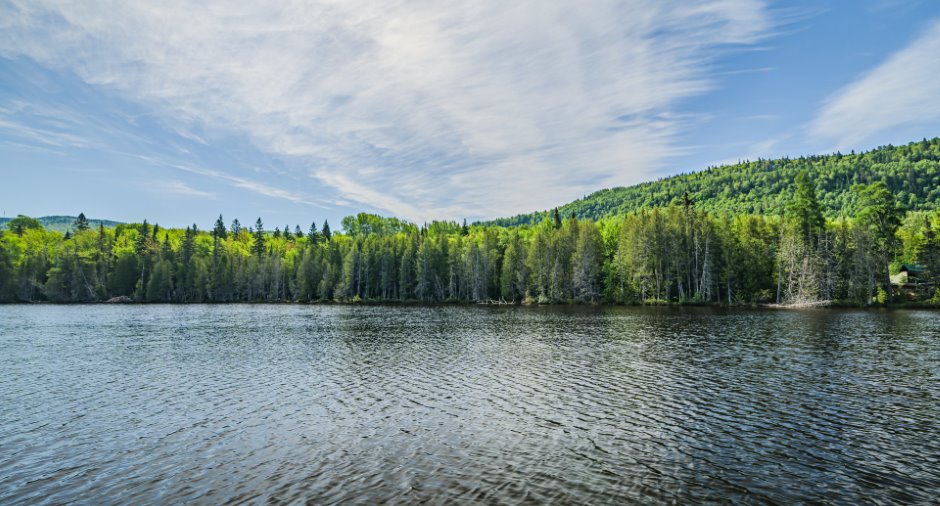 Vue sur l'eau