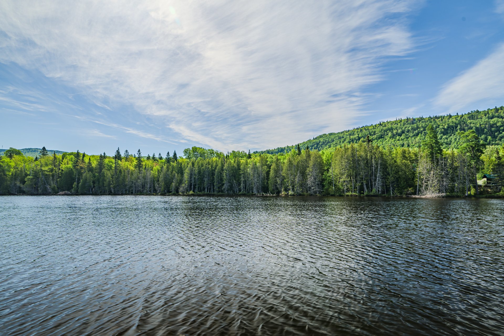 Vue sur l'eau