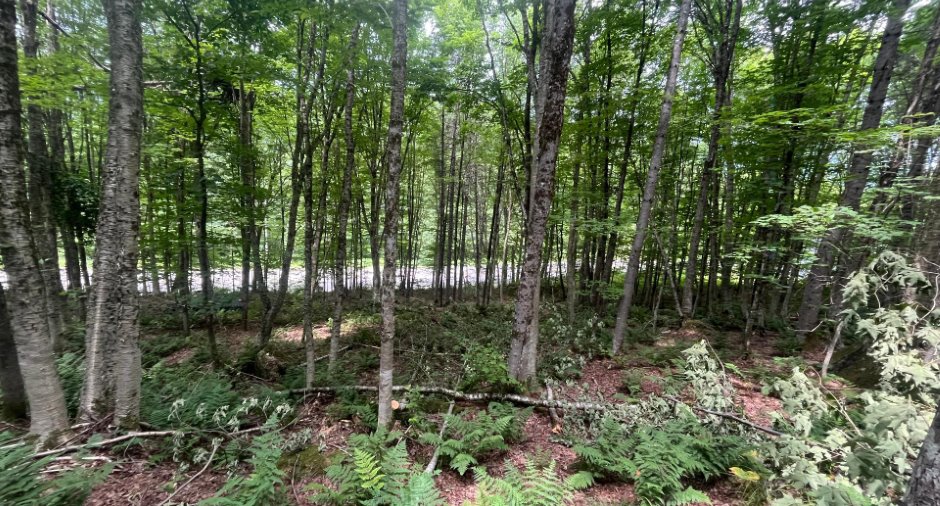 Terre/Terrain