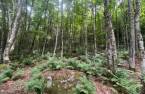 Terre/Terrain
