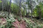 Terre/Terrain