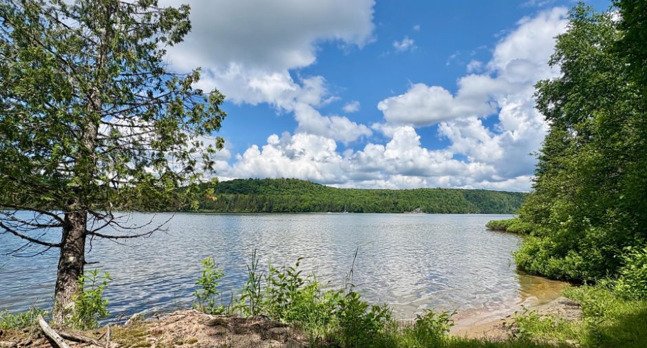 Vue sur l'eau