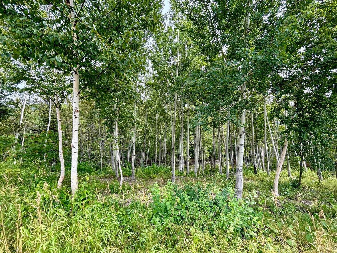 Route de la Rivière — photo 1