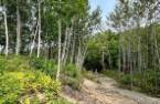 Terre/Terrain