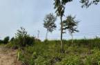 Terre/Terrain