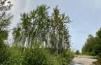 Terre/Terrain