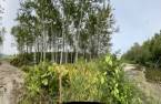 Terre/Terrain