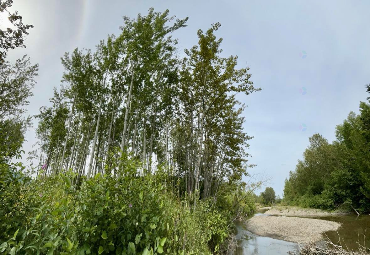 Route de la Rivière — photo 2