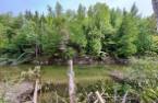 Terre/Terrain