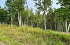 Terre/Terrain