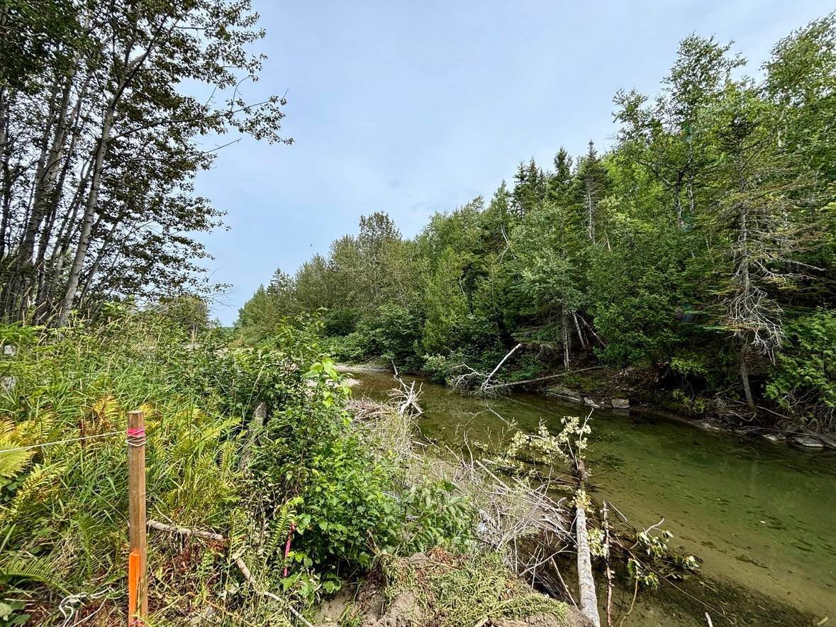Route de la Rivière — photo 3