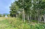 Terre/Terrain