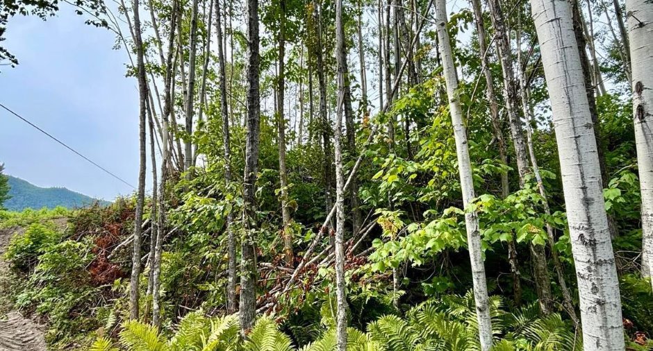 Terre/Terrain